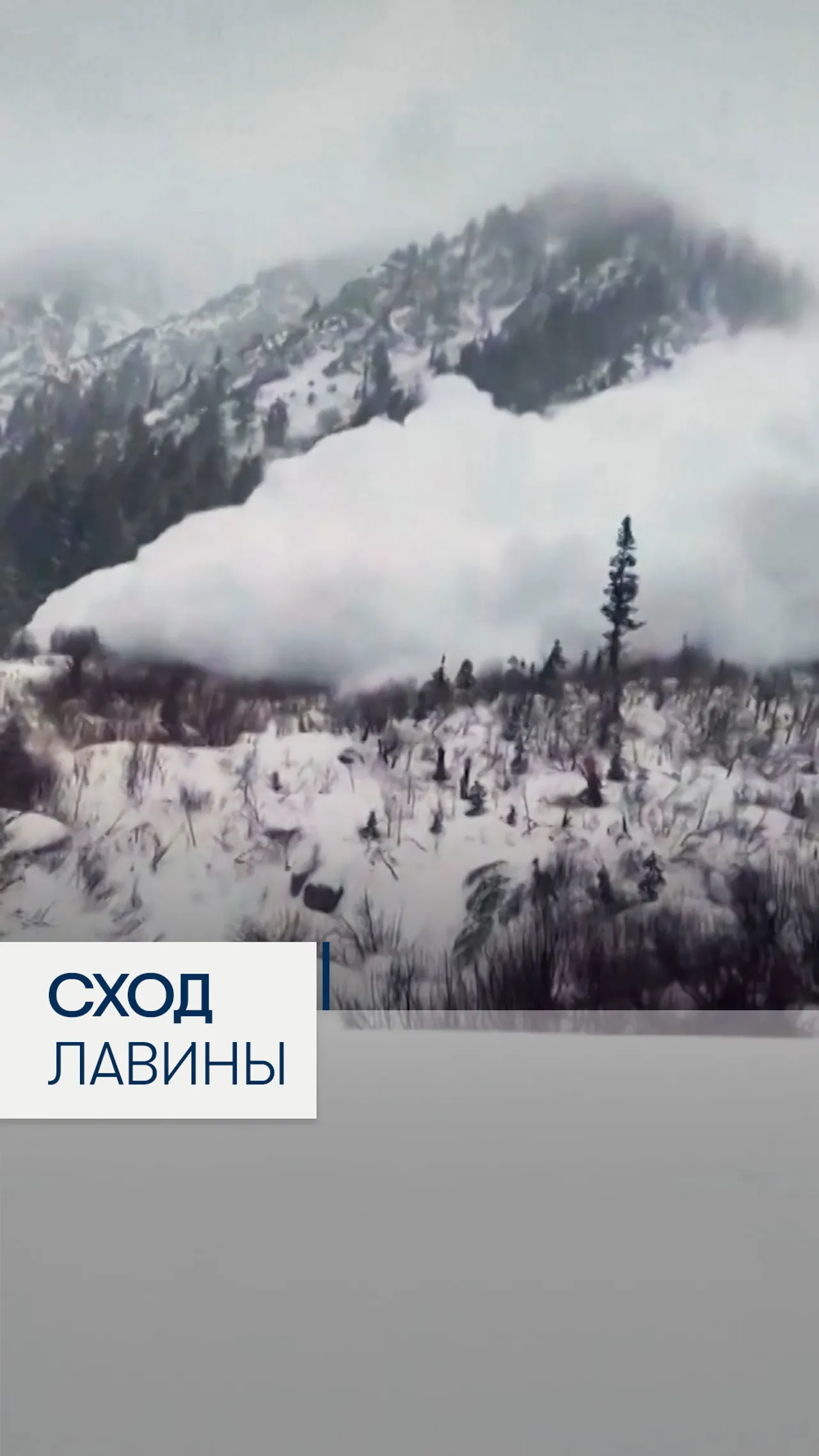 Схода лавины в США